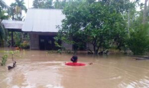 Sekda Aceh Utara: 12 Kecamatan Terkena Banjir Di Aceh Utara